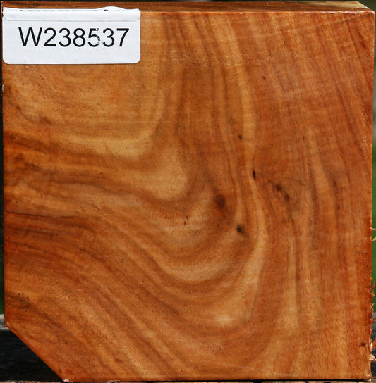 Figured Carob Bowl Blank