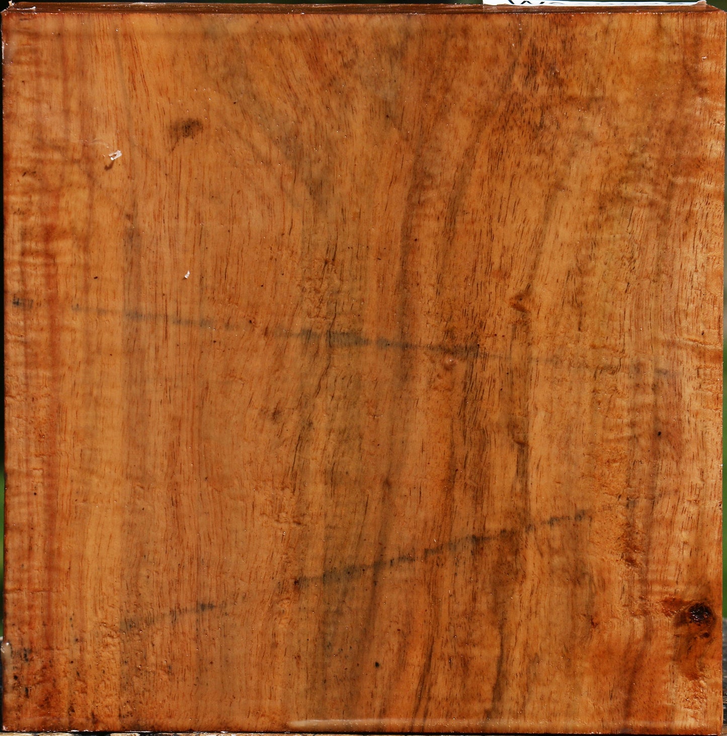 Figured Carob Bowl Blank