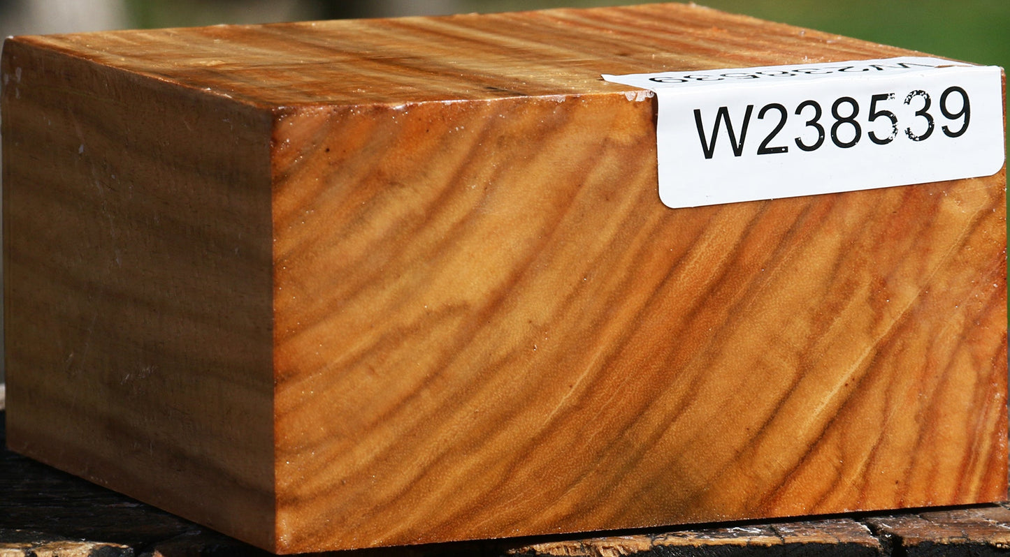 Figured Carob Bowl Blank