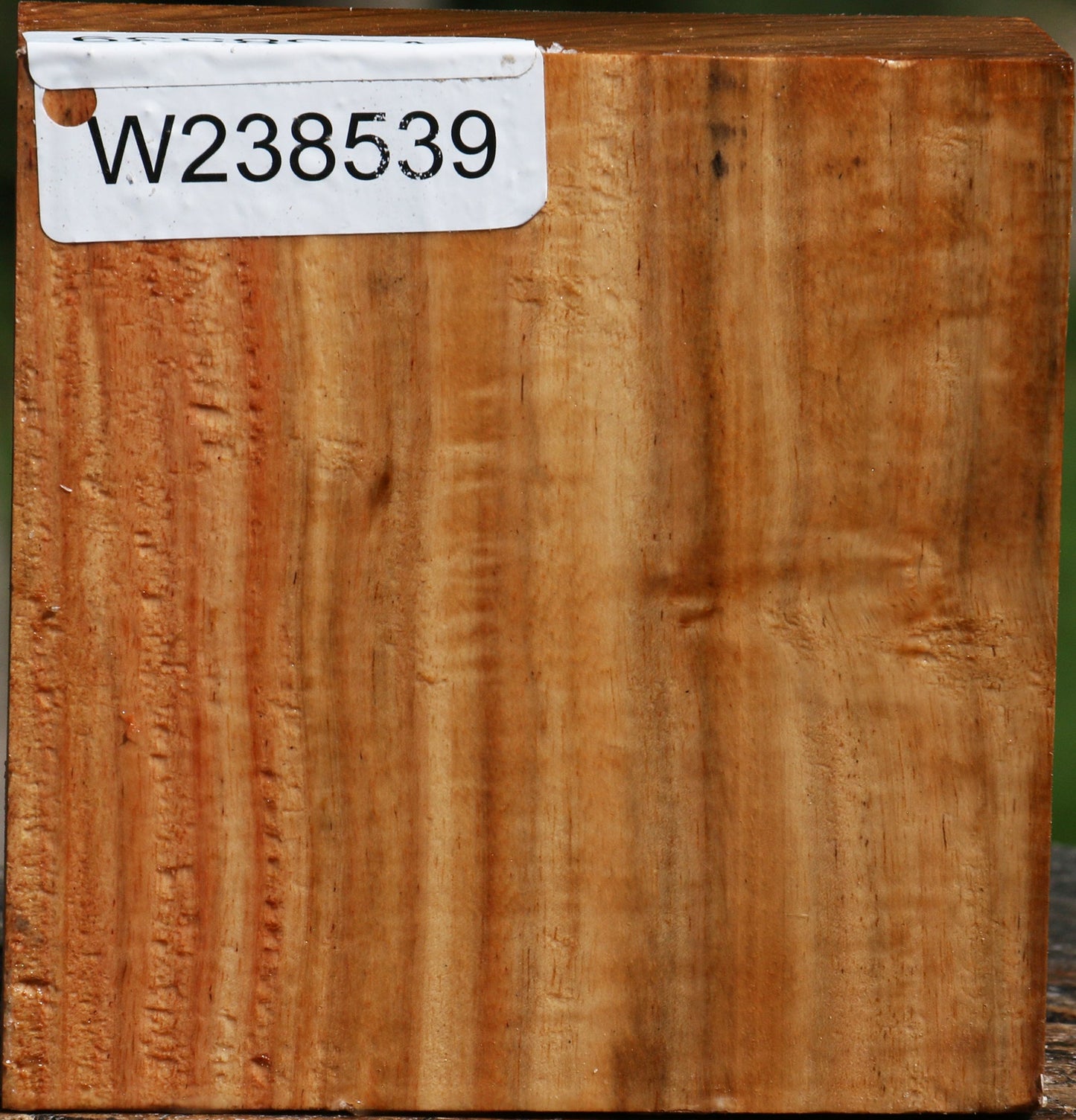 Figured Carob Bowl Blank