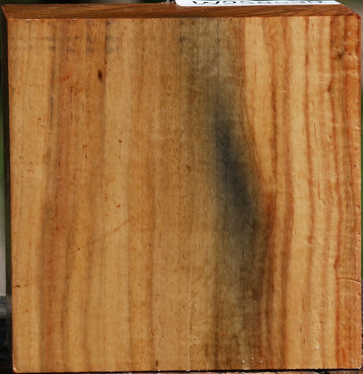 Figured Carob Bowl Blank