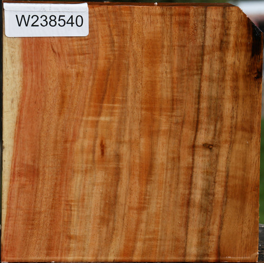 Figured Carob Bowl Blank