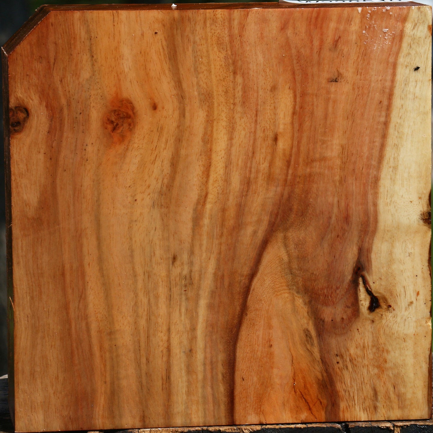 Figured Carob Bowl Blank