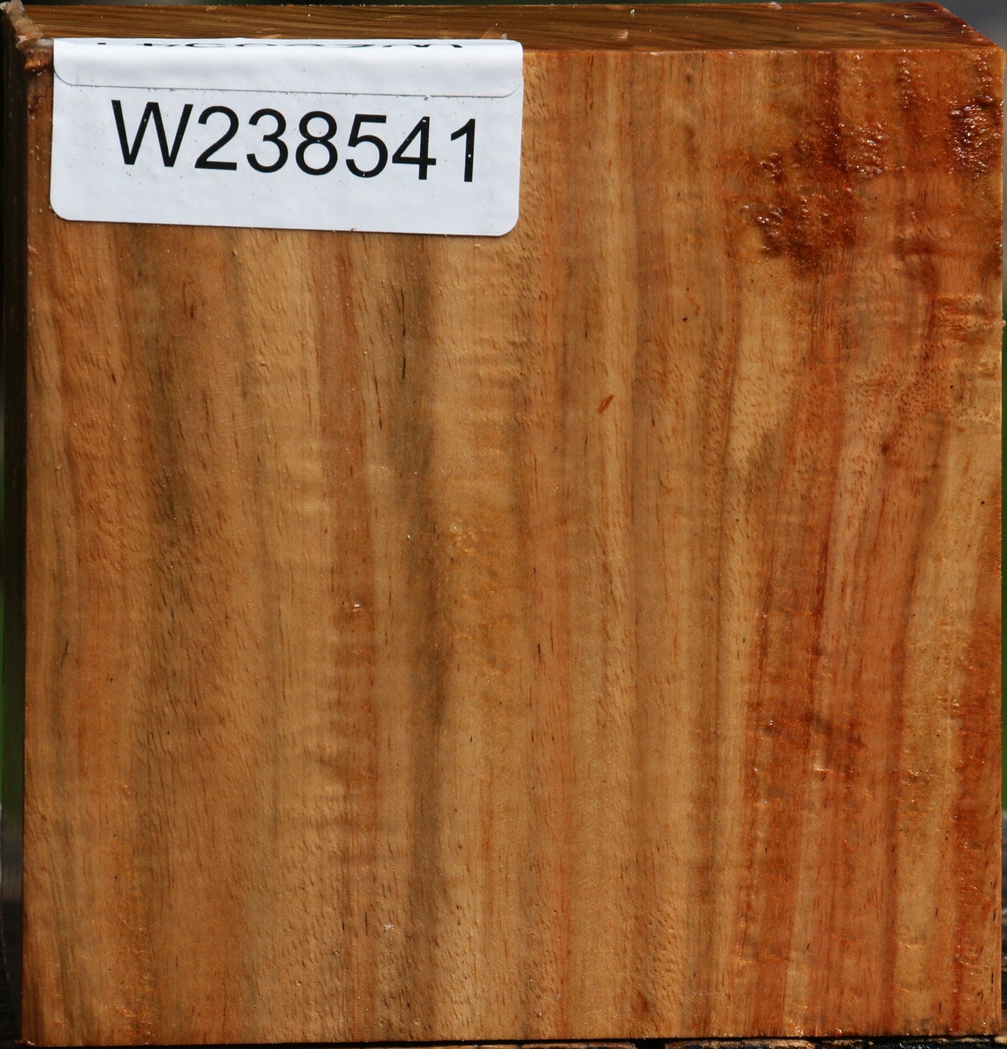 Figured Carob Bowl Blank