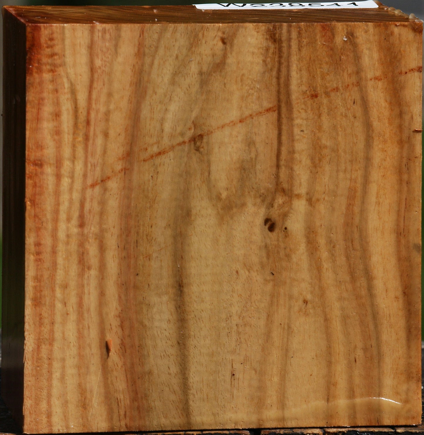 Figured Carob Bowl Blank