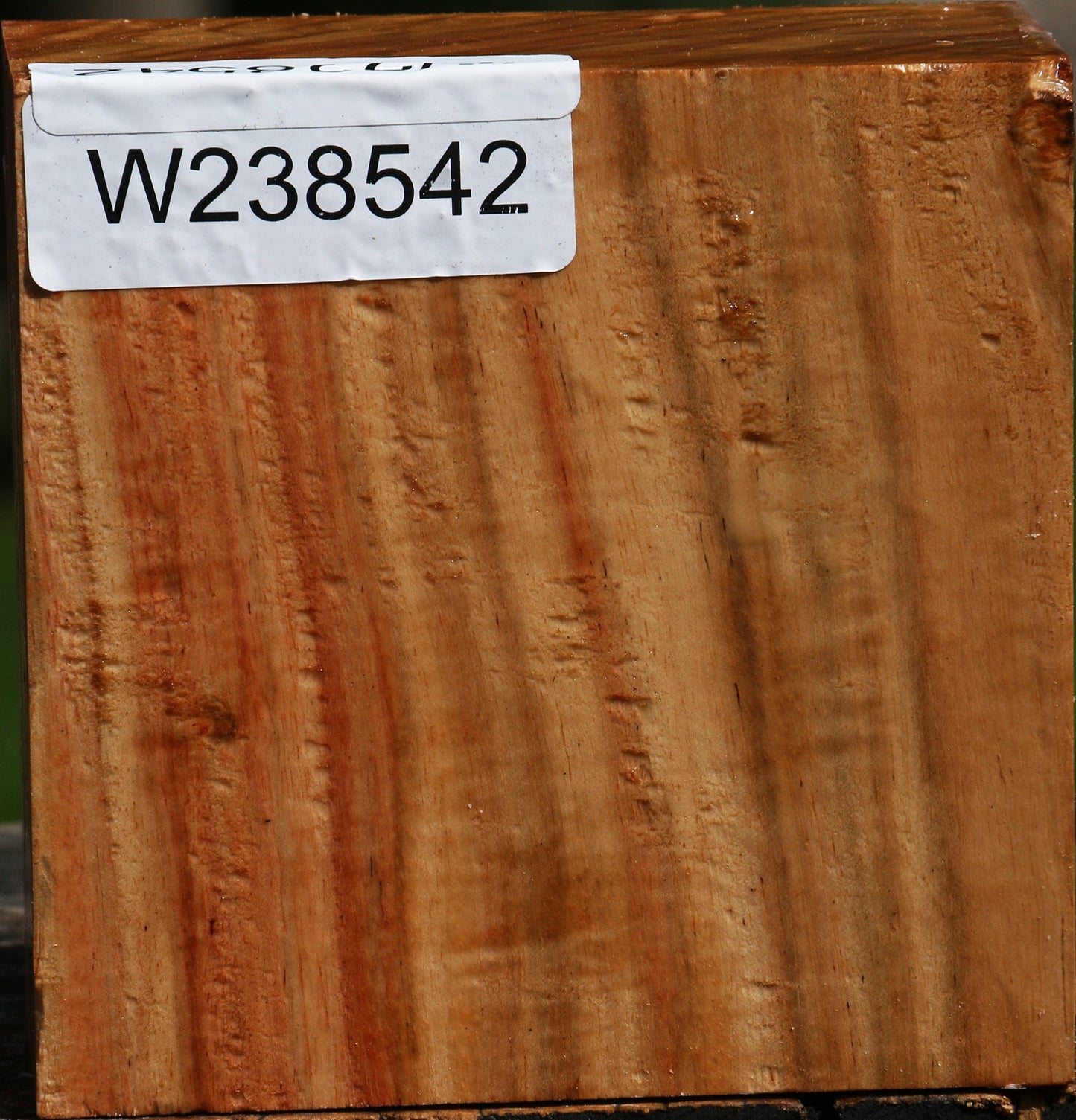 Figured Carob Bowl Blank