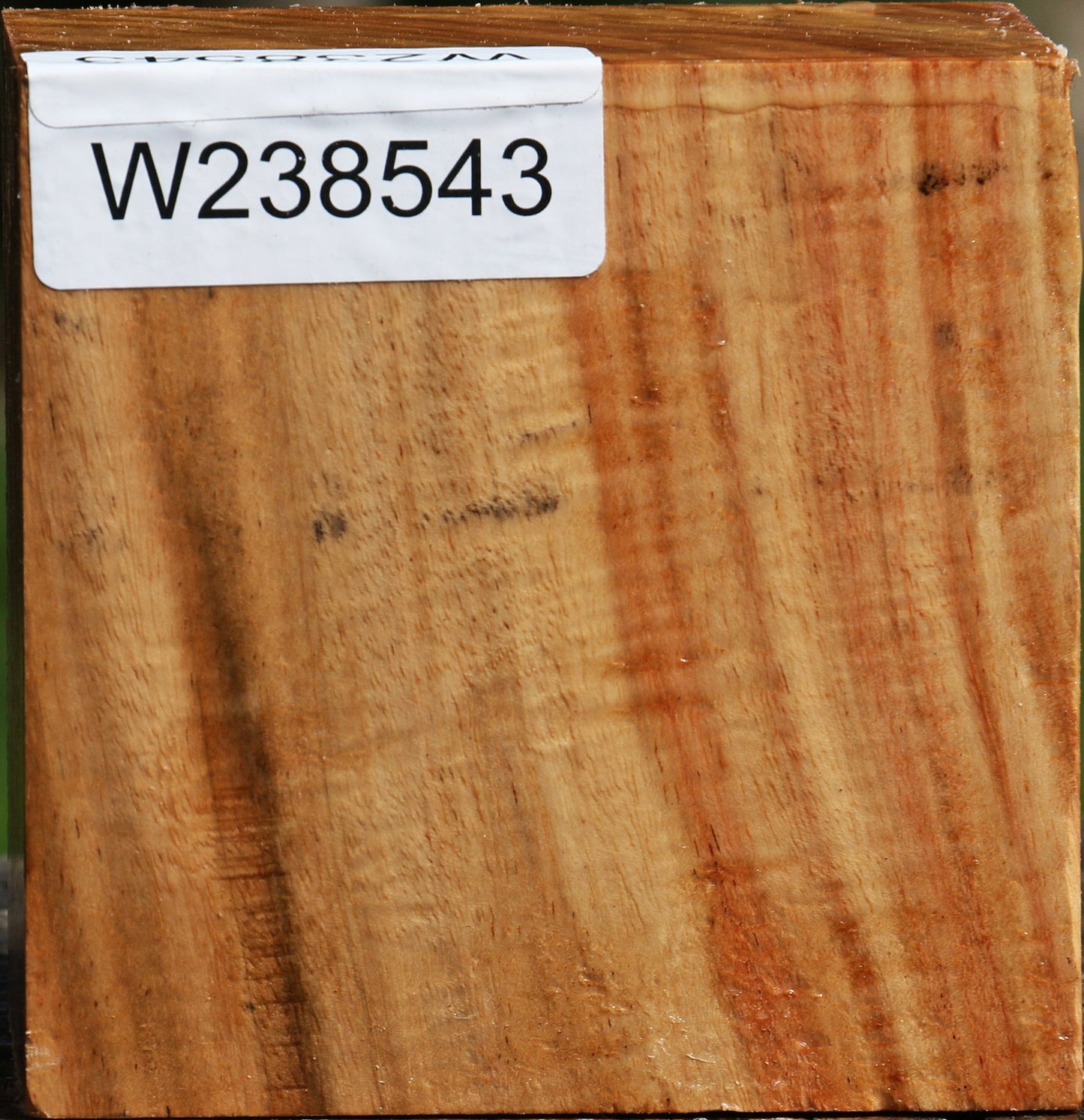 Figured Carob Bowl Blank