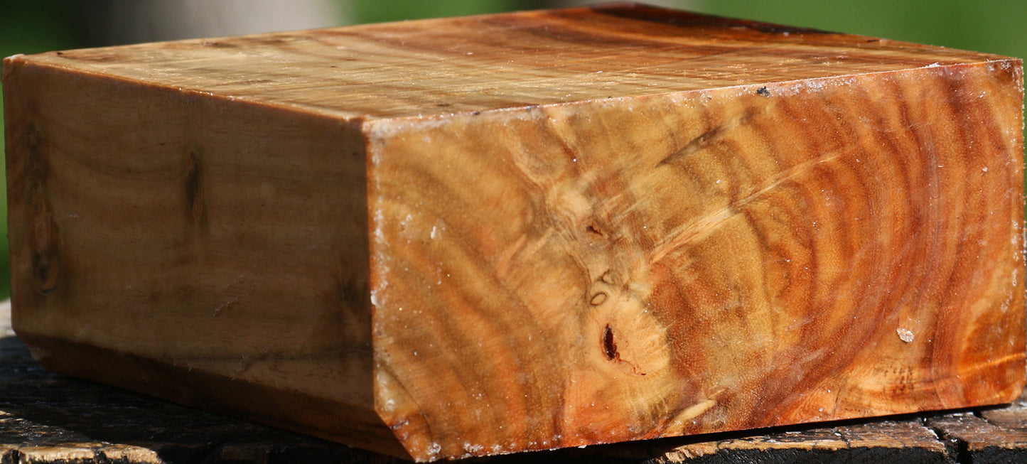 Extra Fancy Carob Bowl Blank