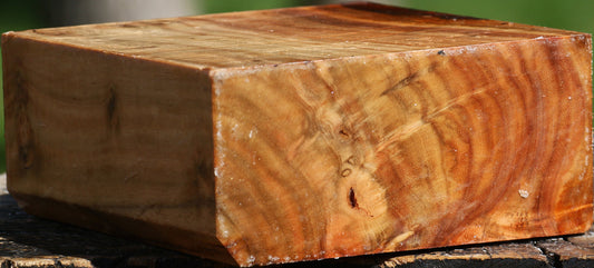 Extra Fancy Carob Bowl Blank