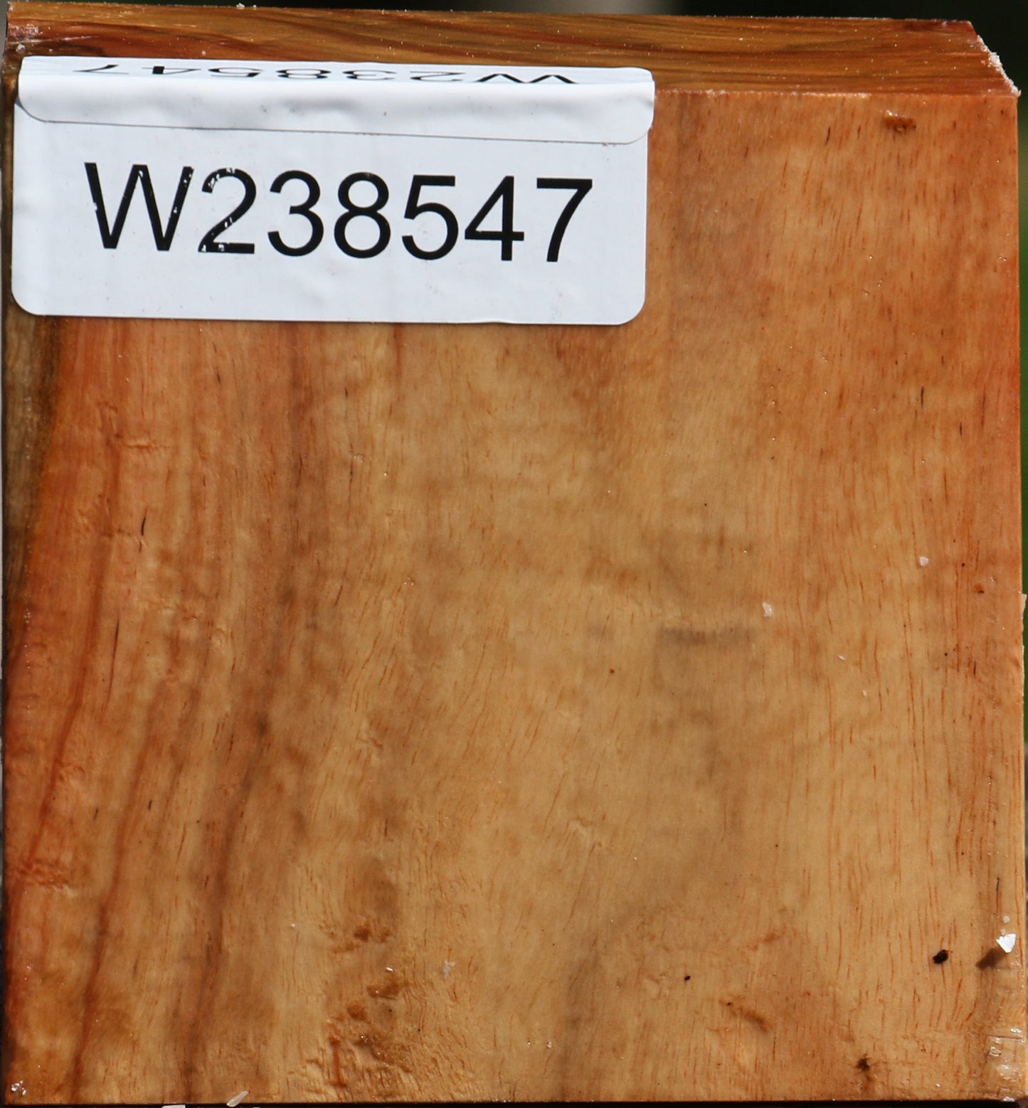 Figured Carob Bowl Blank