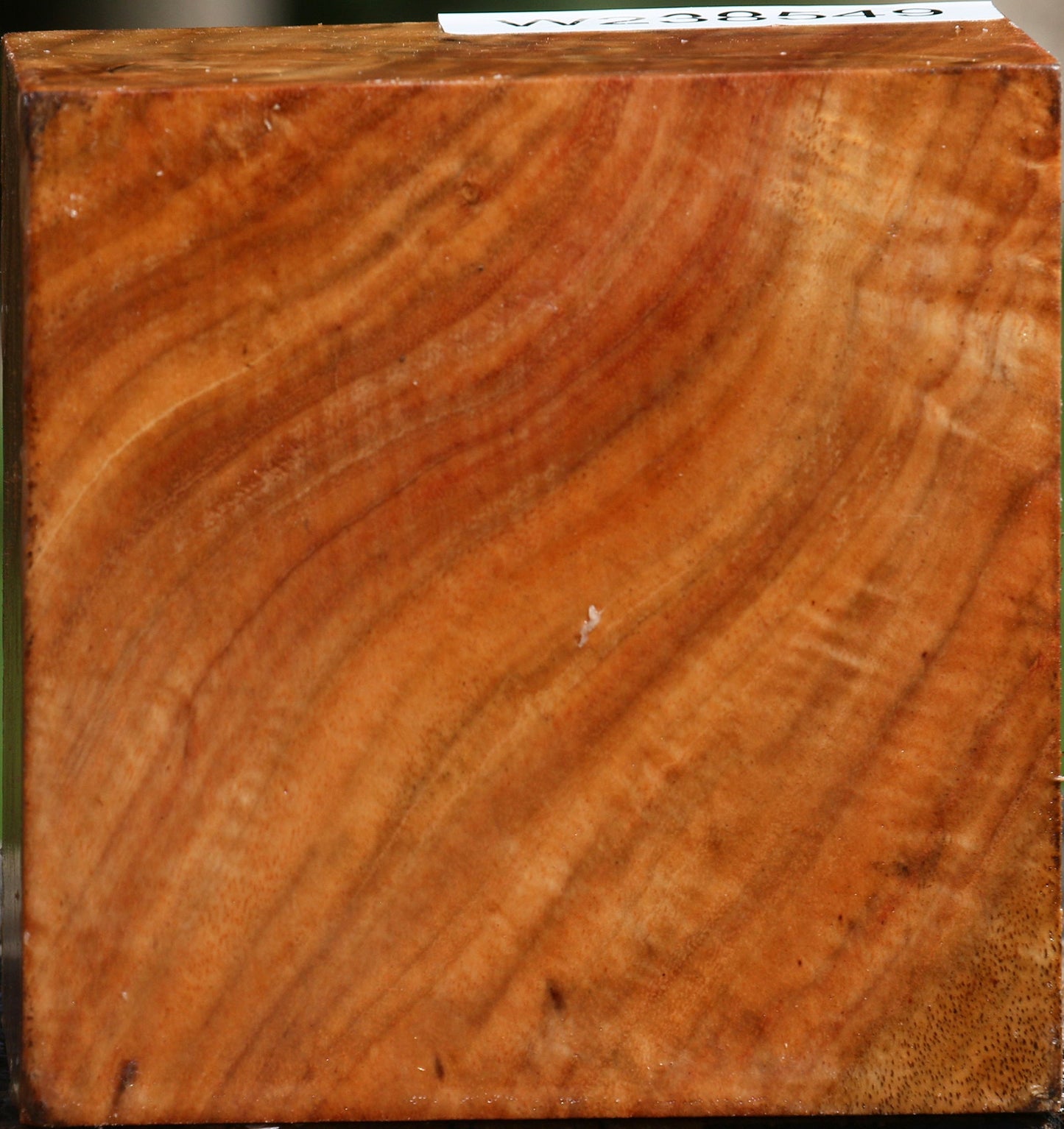 Figured Carob Bowl Blank