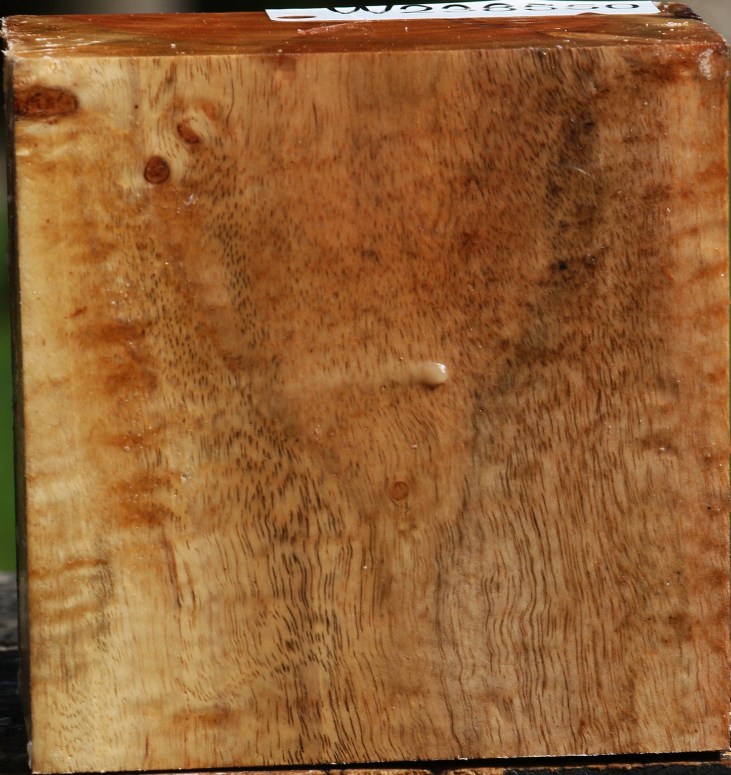 Figured Carob Bowl Blank