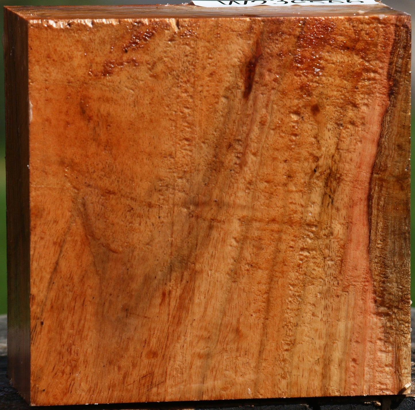 Extra Fancy Carob Bowl Blank