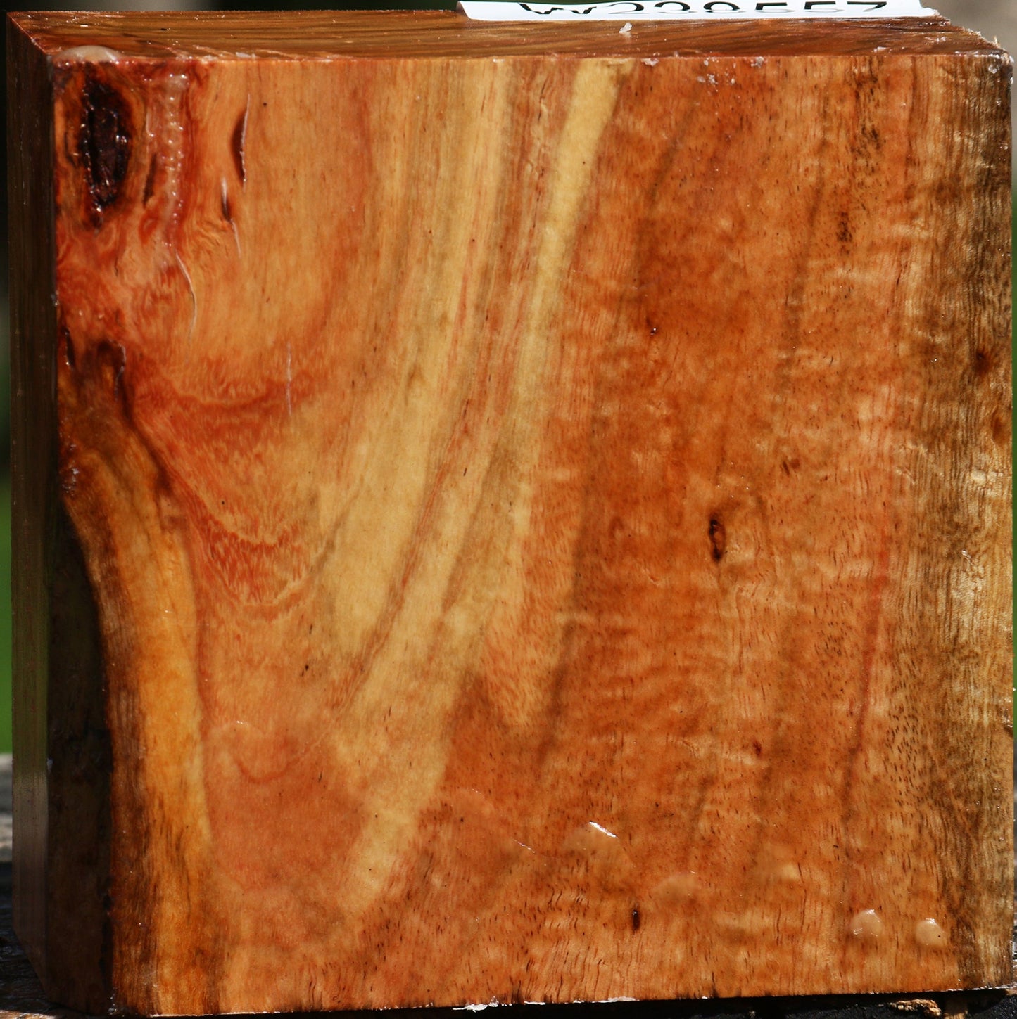 Figured Carob Bowl Blank