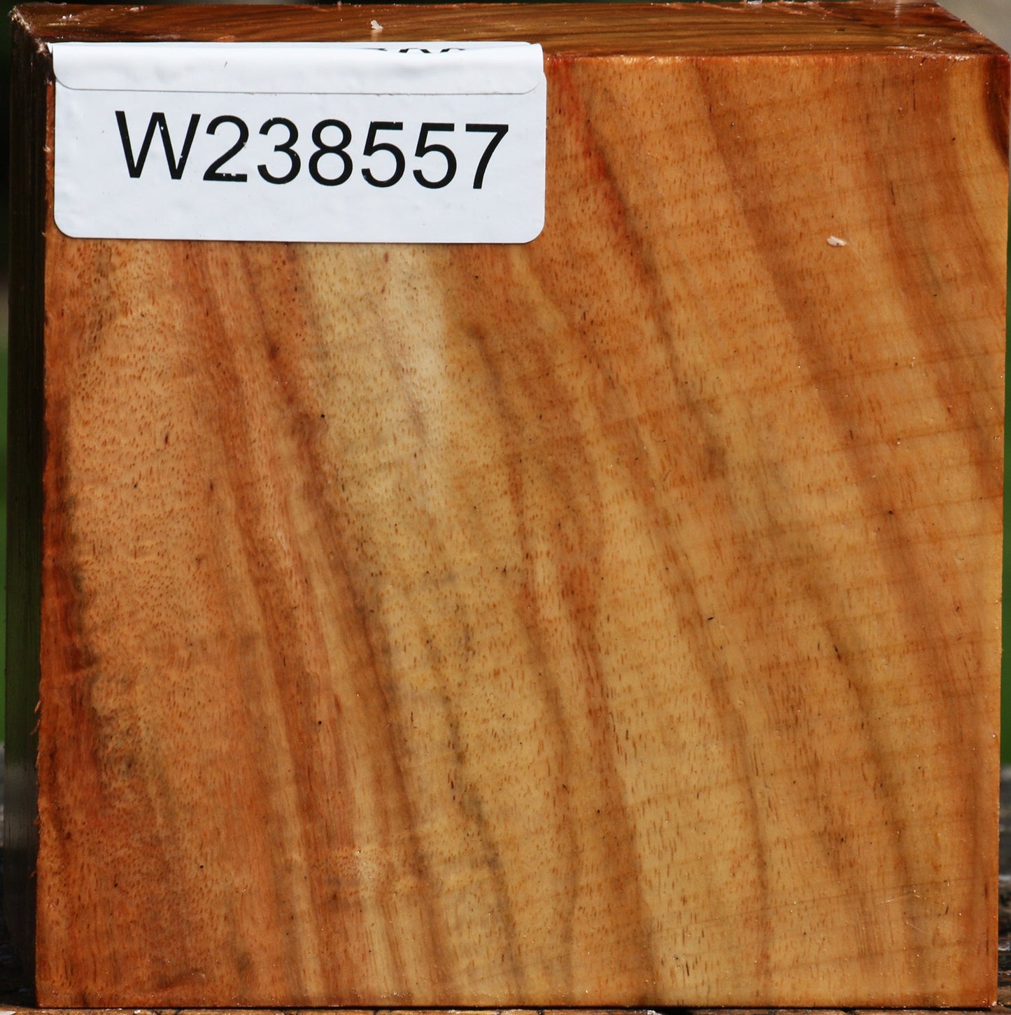 Figured Carob Bowl Blank