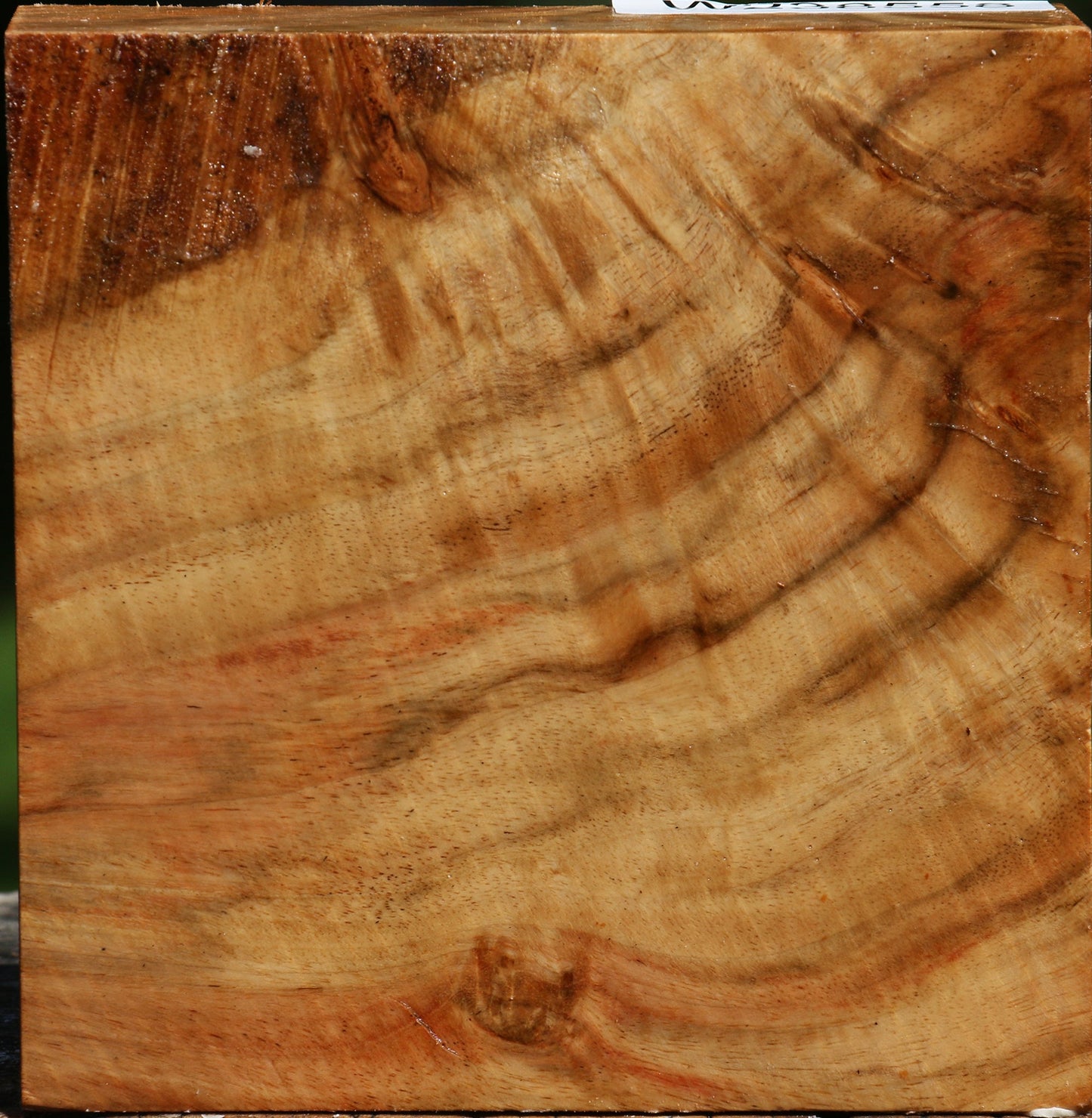 Extra Fancy Carob Bowl Blank