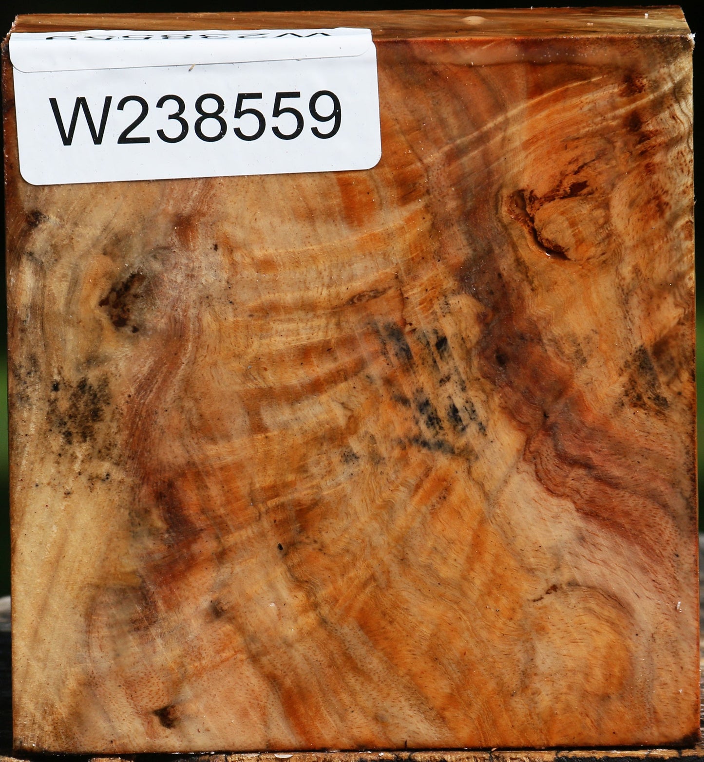 Extra Fancy Carob Bowl Blank