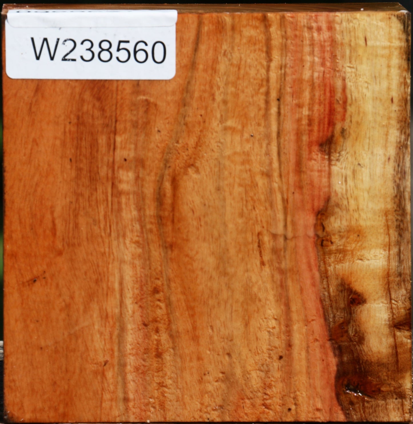 Figured Carob Bowl Blank