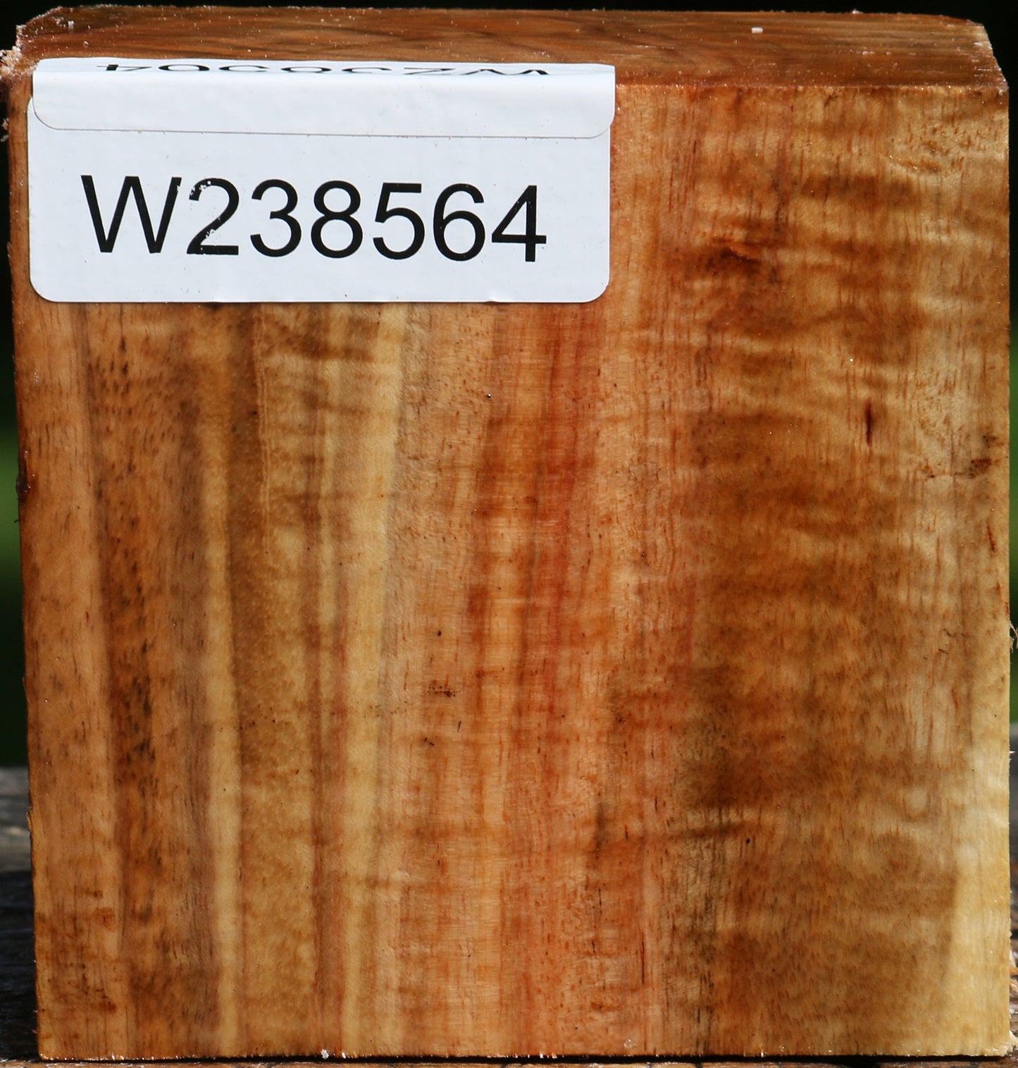 Figured Carob Bowl Blank