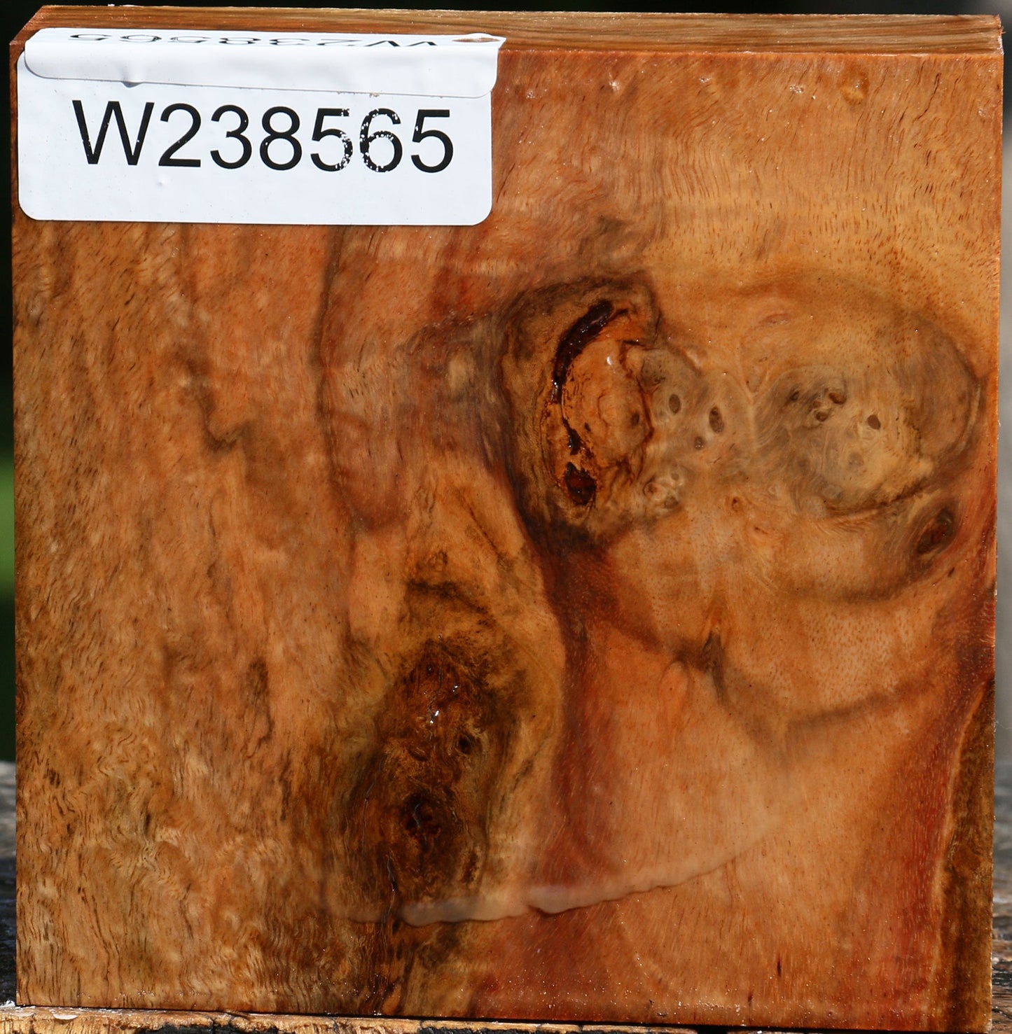 Figured Carob Bowl Blank