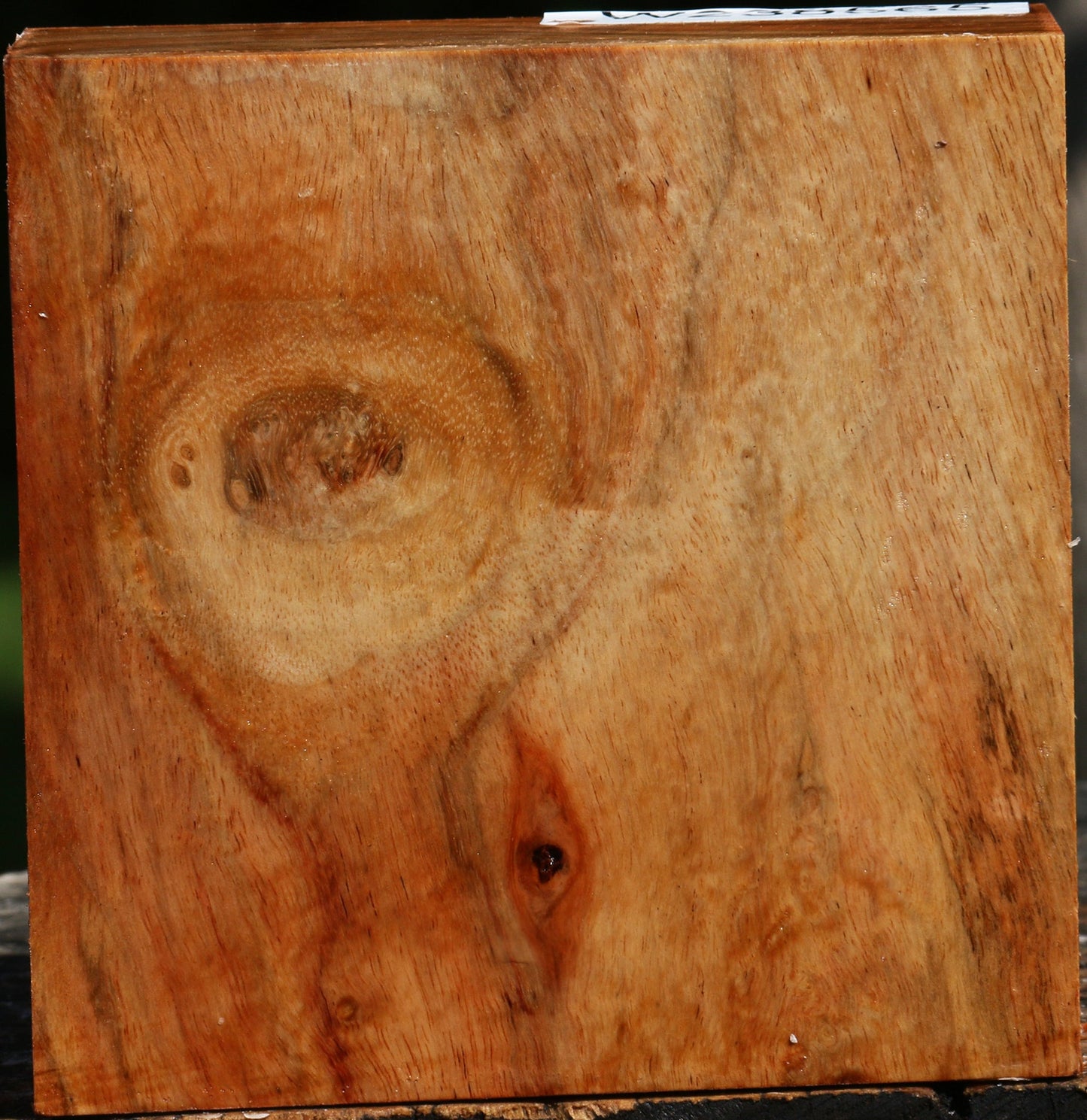 Figured Carob Bowl Blank