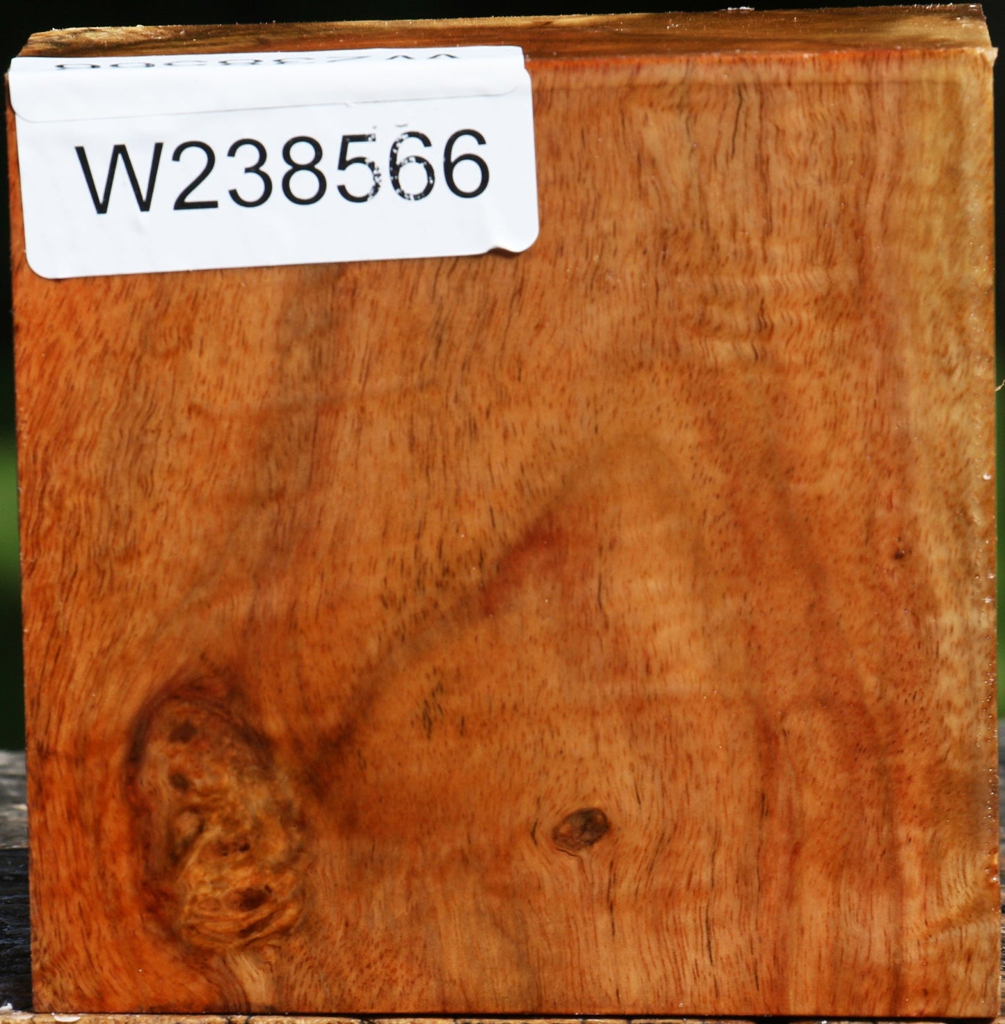 Figured Carob Bowl Blank