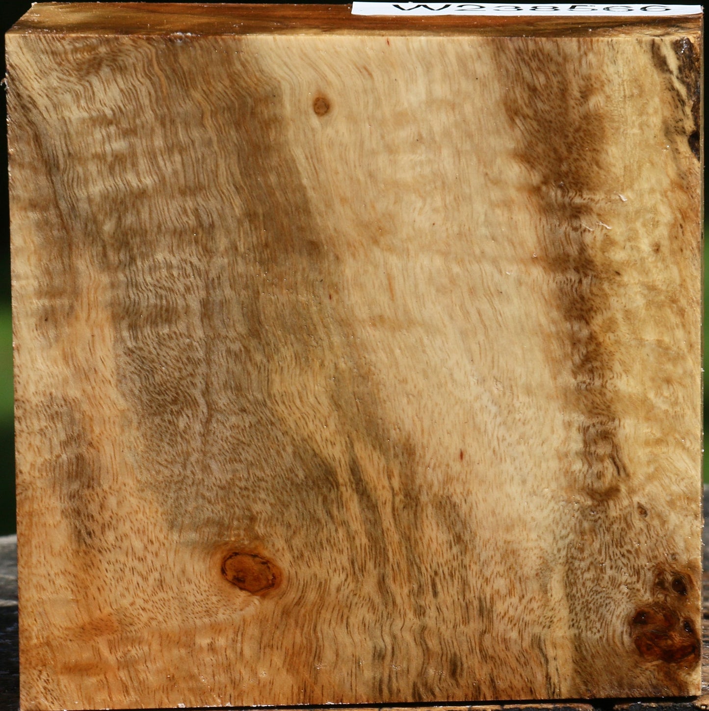 Figured Carob Bowl Blank