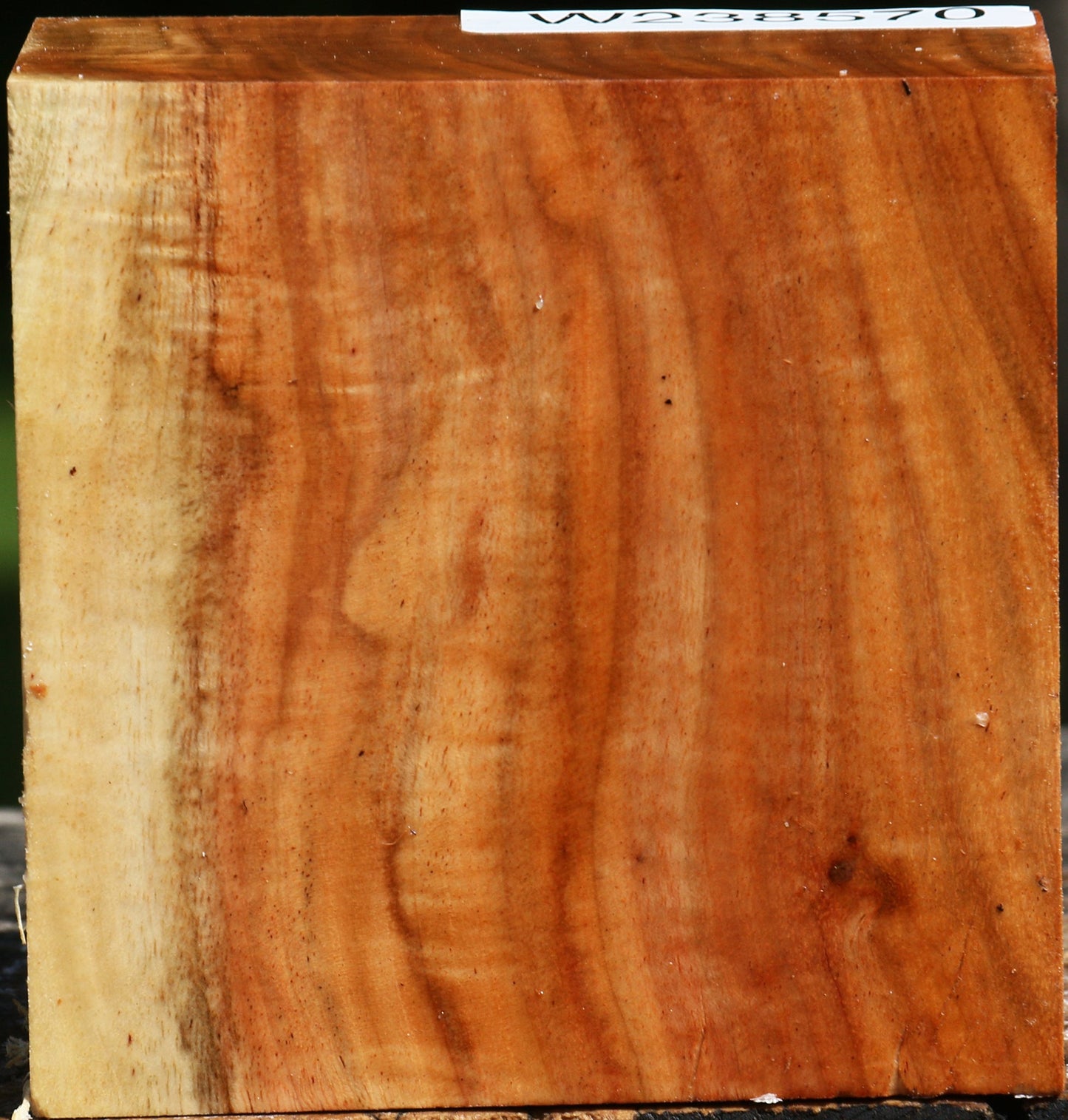 Figured Carob Bowl Blank