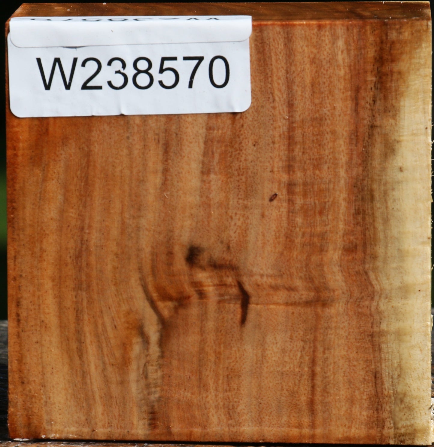 Figured Carob Bowl Blank