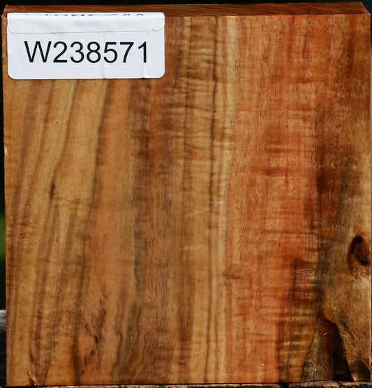 Figured Carob Bowl Blank