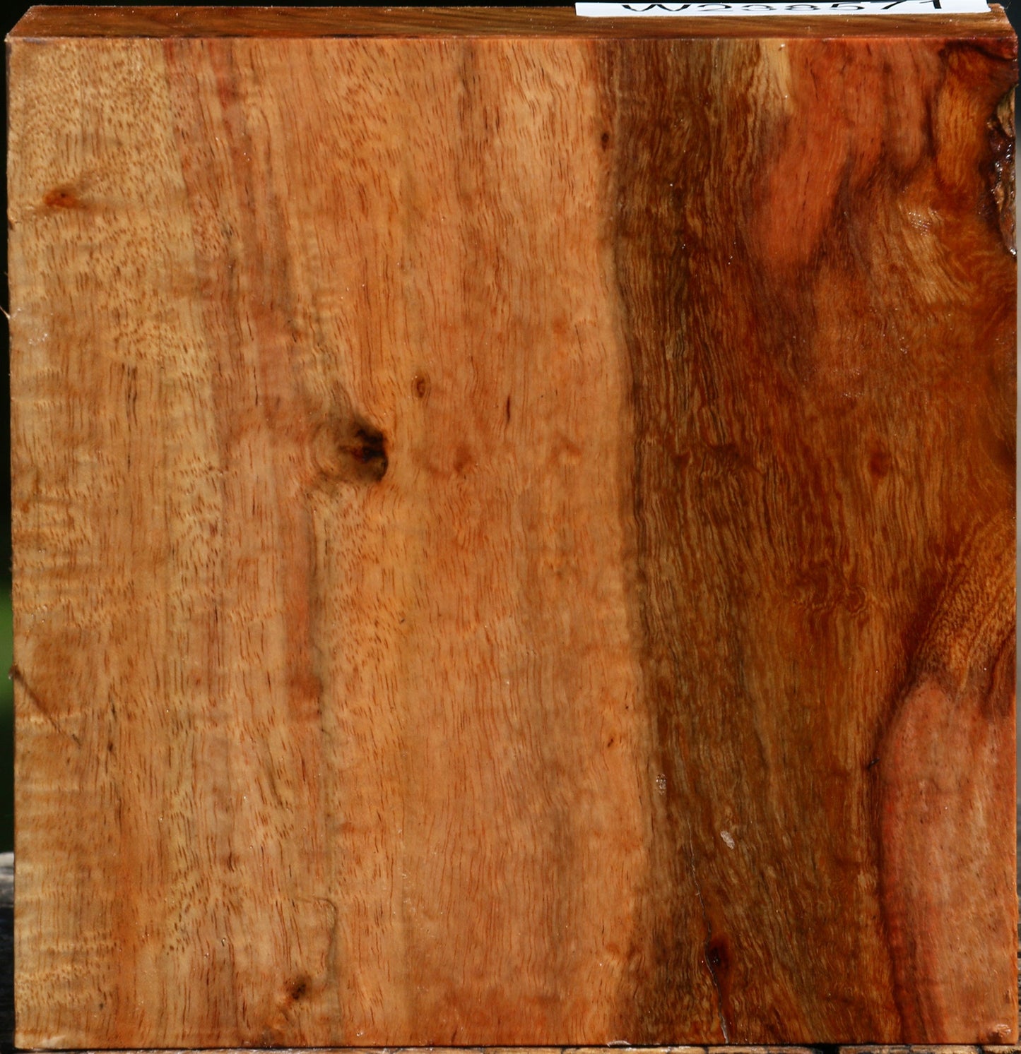 Figured Carob Bowl Blank