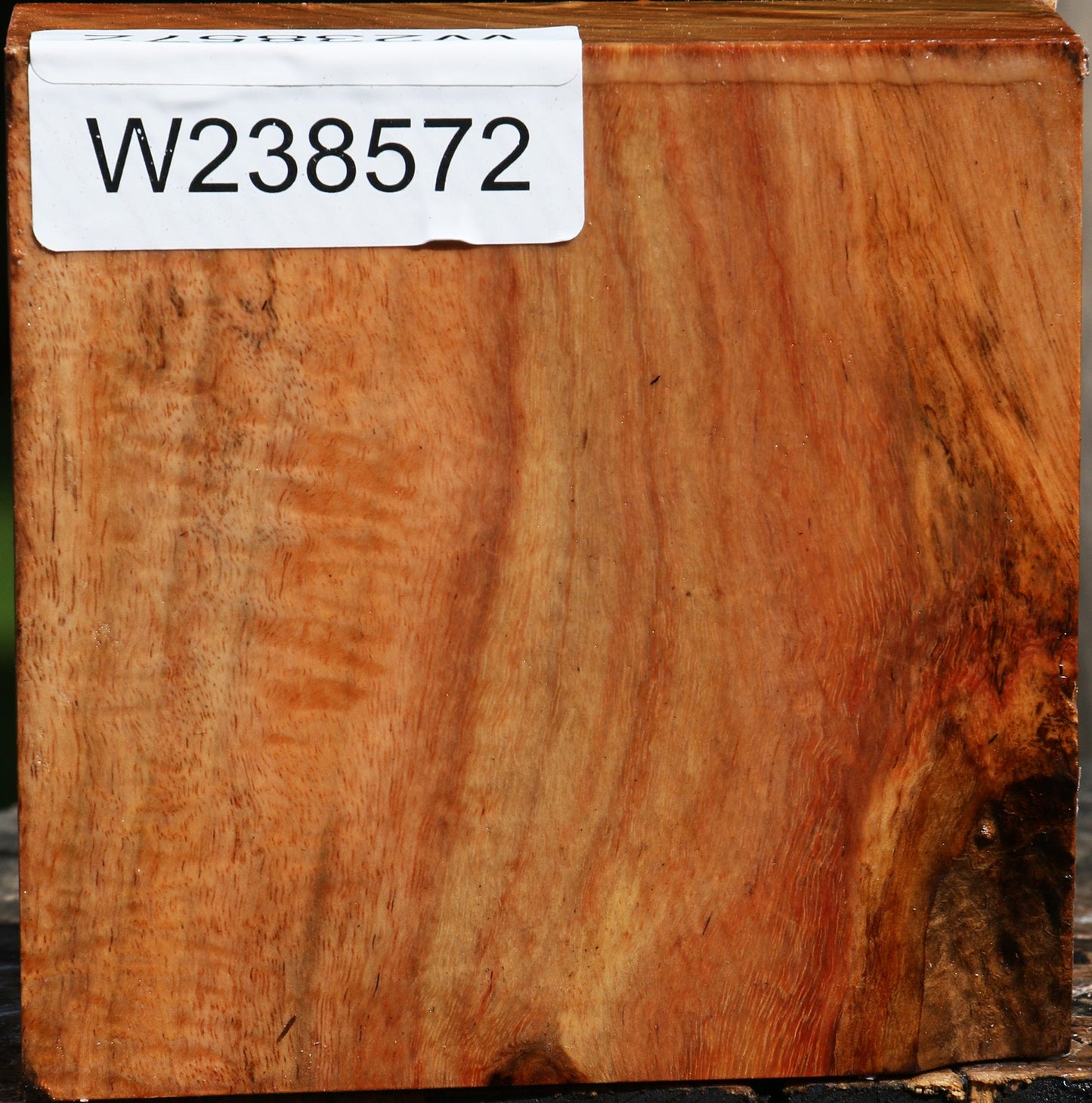 Figured Carob Bowl Blank