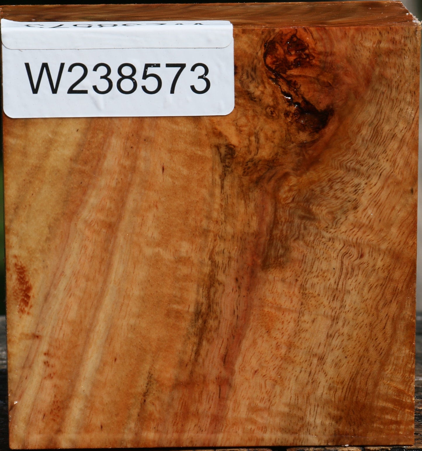 Figured Carob Bowl Blank