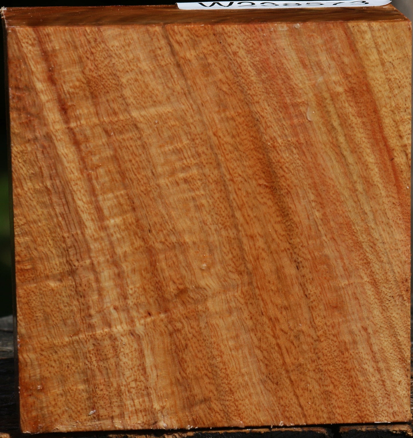 Figured Carob Bowl Blank