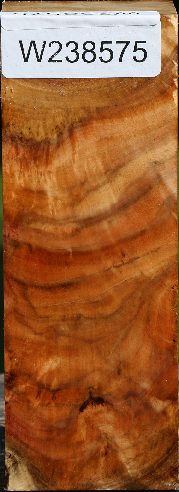 Extra Fancy Carob Turning Square