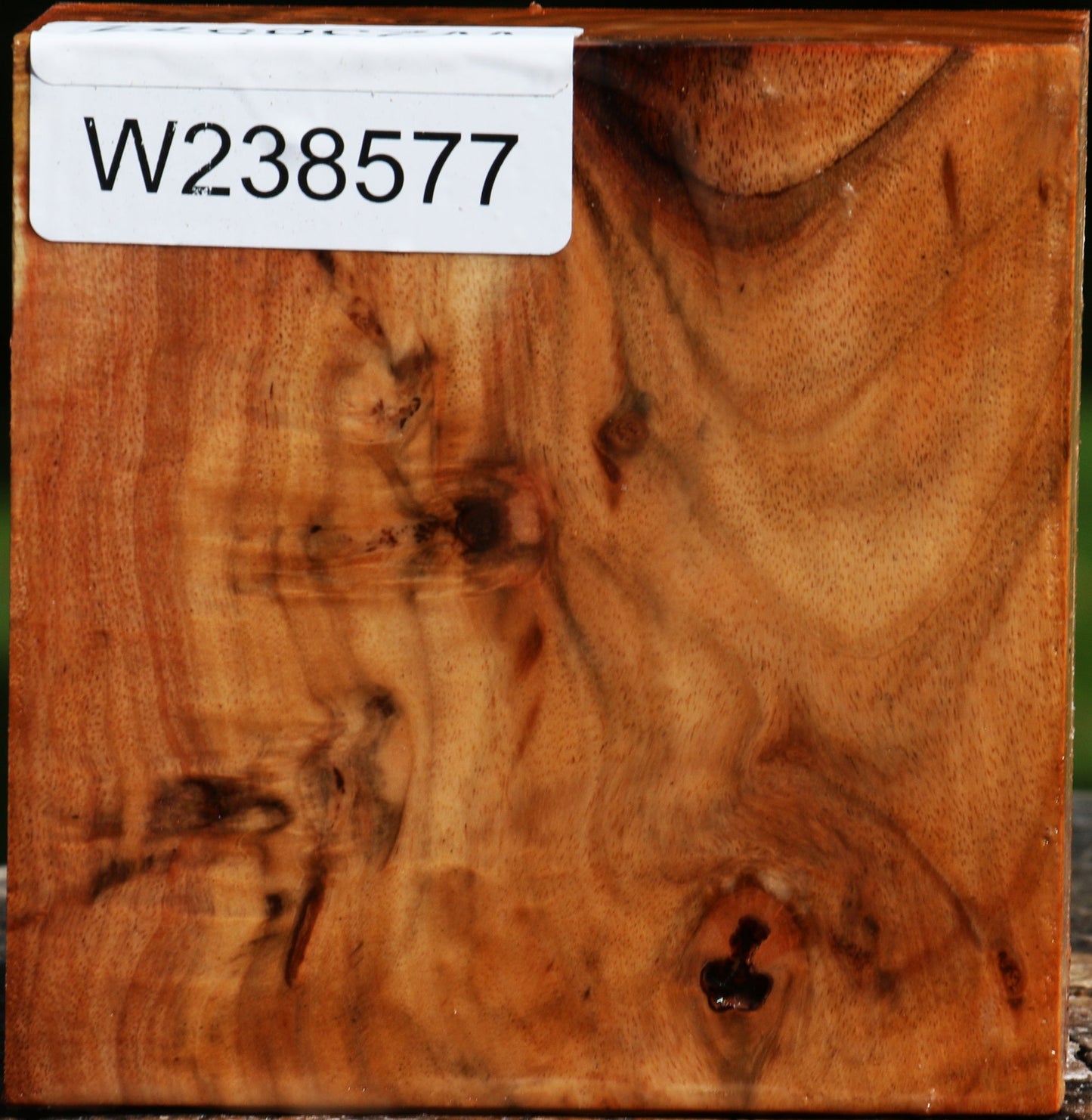 Rustic Carob Bowl Blank