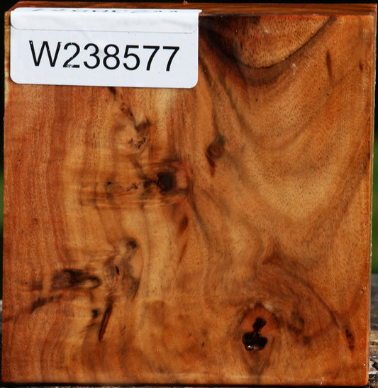 Rustic Carob Bowl Blank