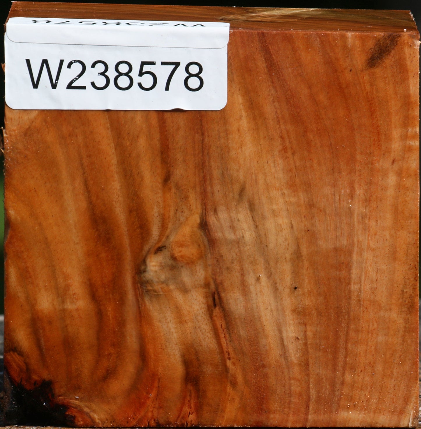 Figured Carob Bowl Blank