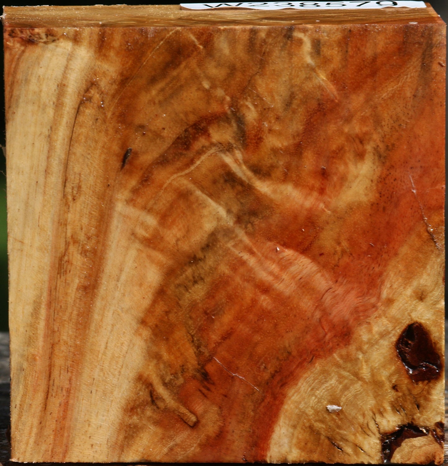 Extra Fancy Carob Bowl Blank