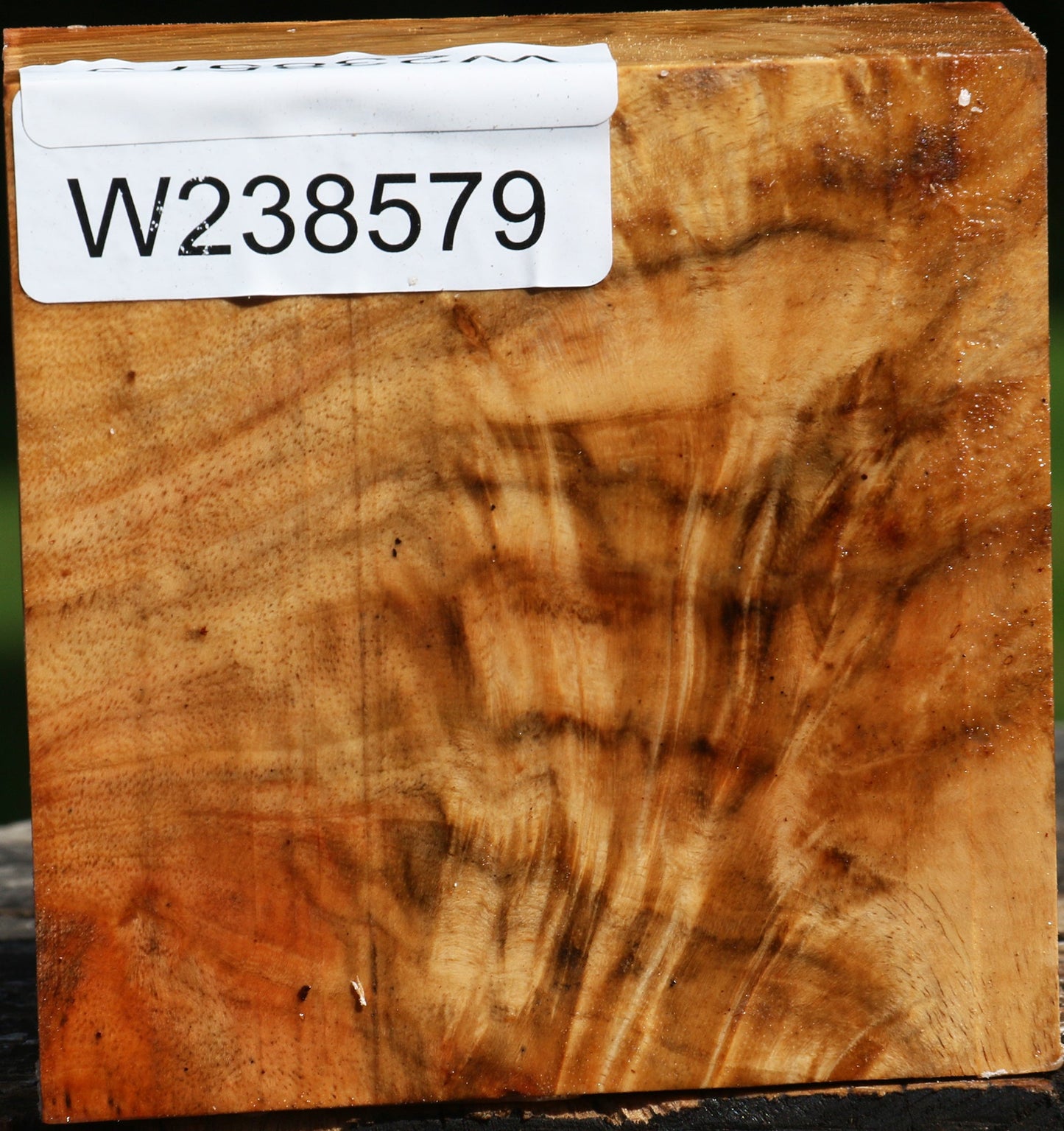 Extra Fancy Carob Bowl Blank