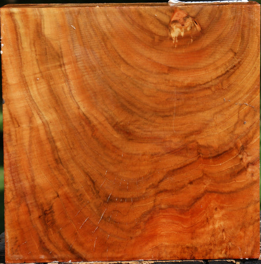 Extra Fancy Carob Bowl Blank
