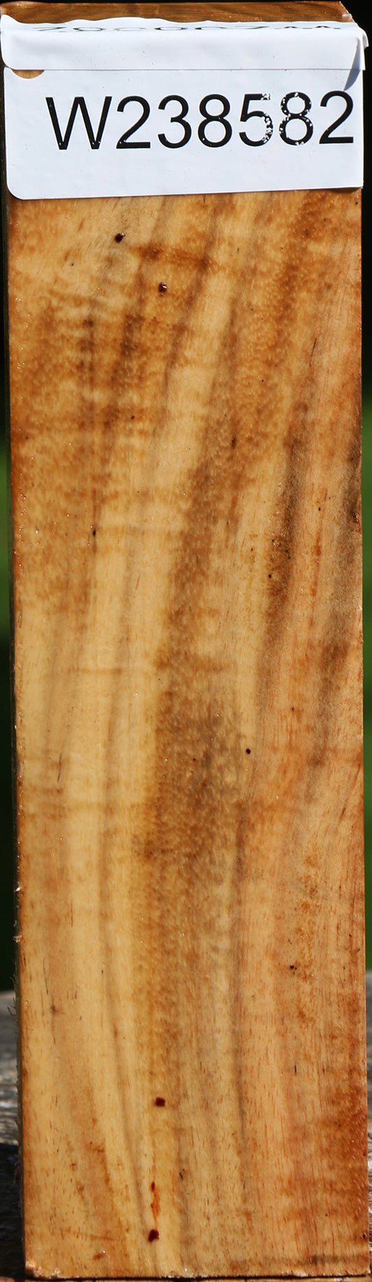 Figured Carob Turning Square
