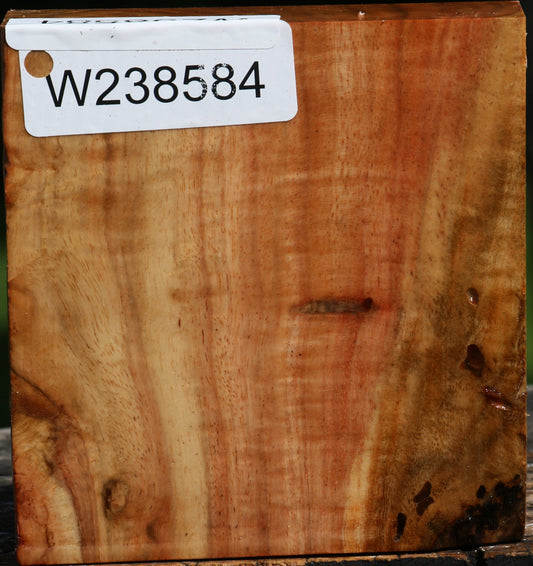 Figured Carob Bowl Blank