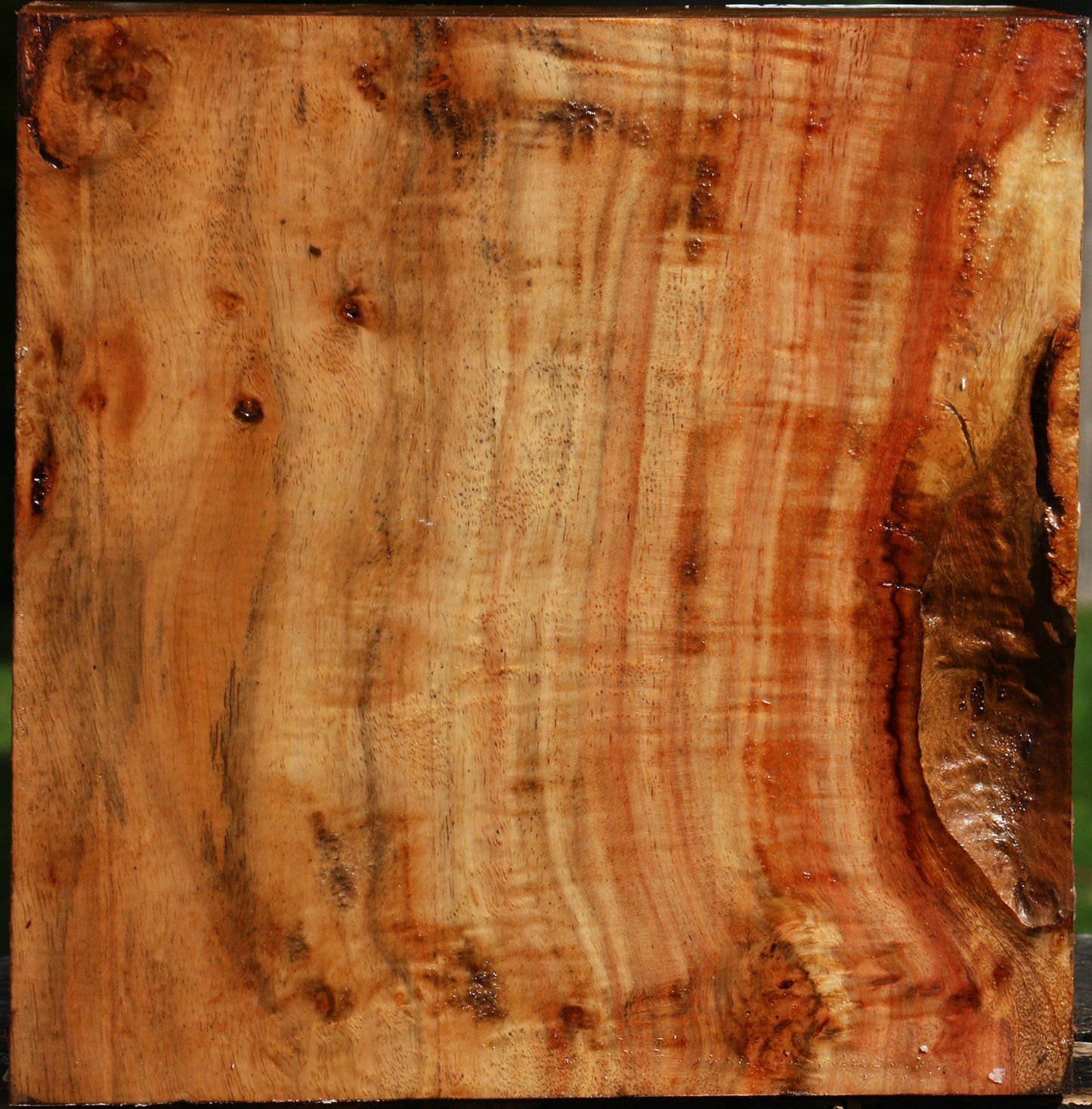 Extra Fancy Carob Bowl Blank