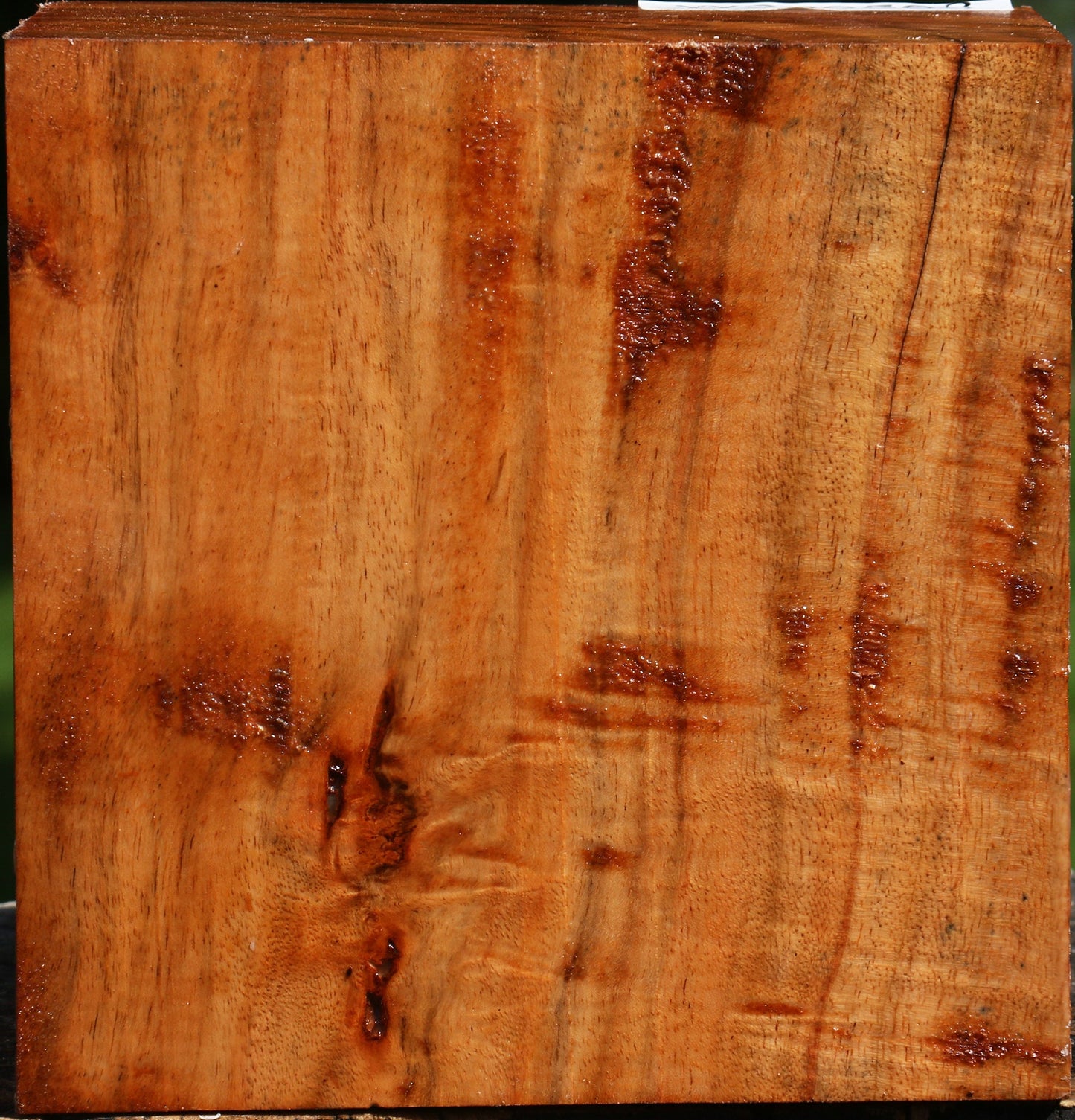 Figured Carob Bowl Blank