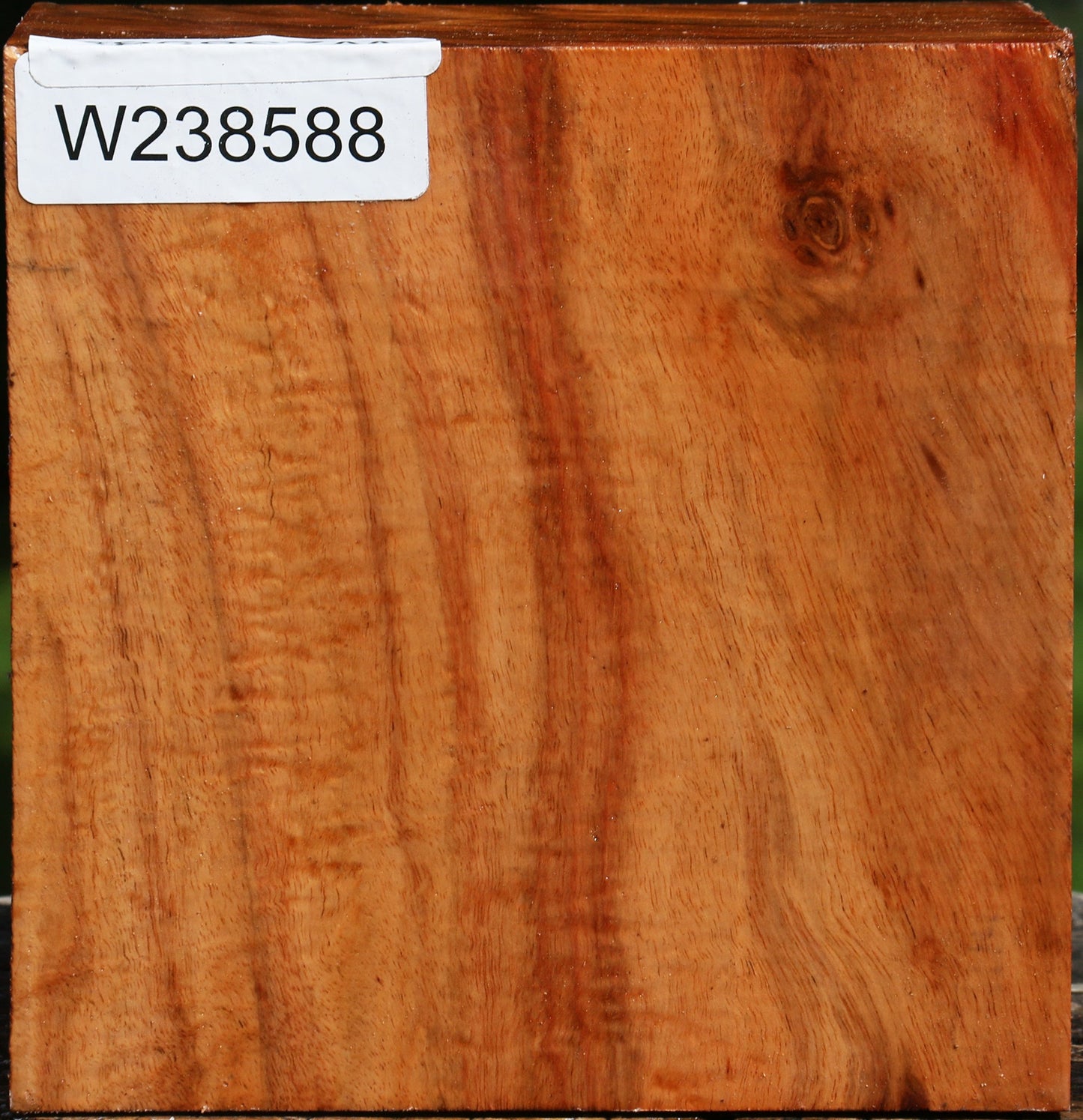 Figured Carob Bowl Blank