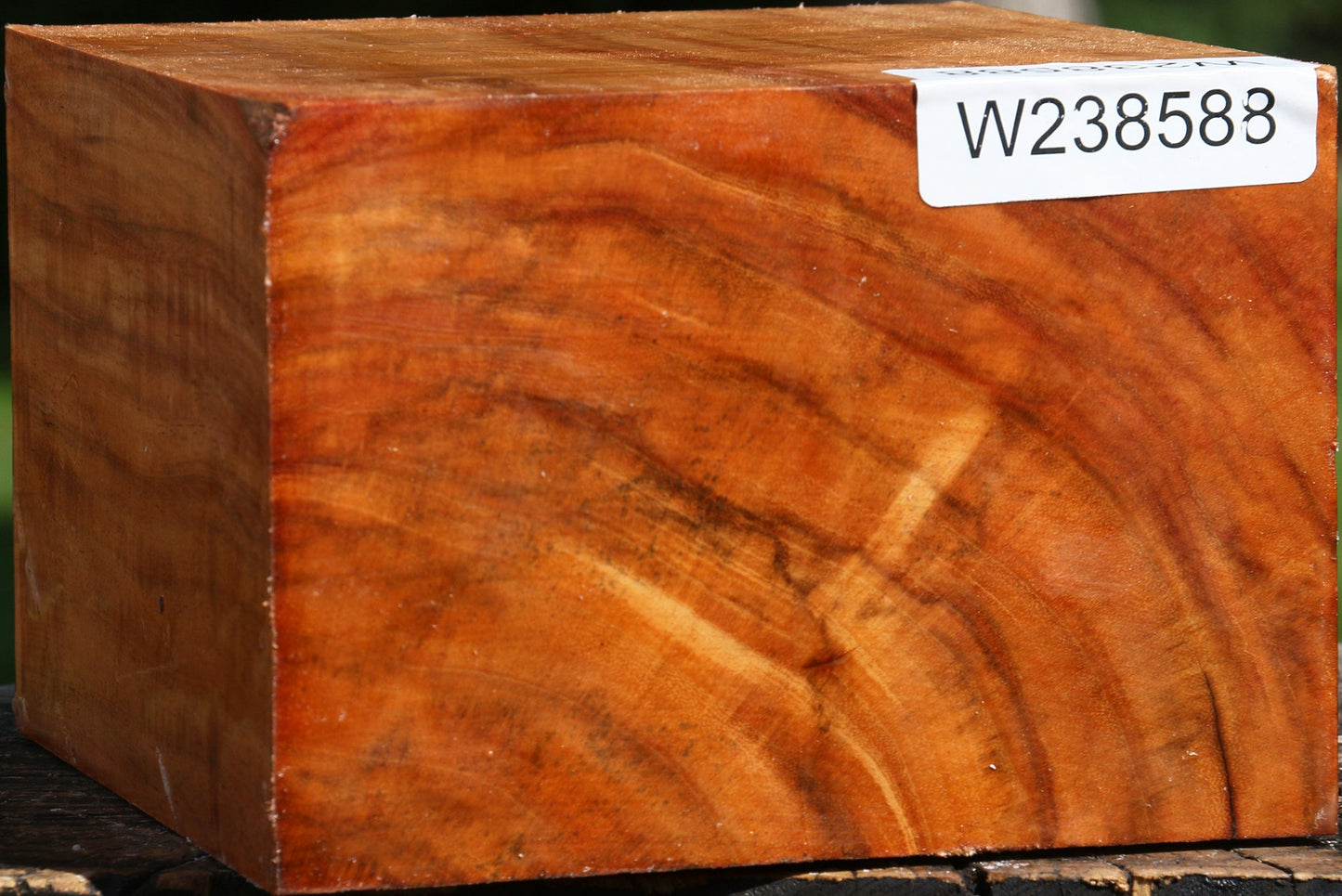 Figured Carob Bowl Blank