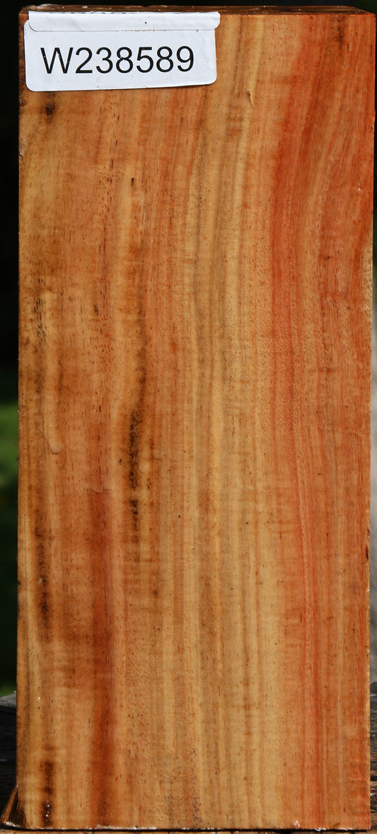 Figured Carob Vessel Blank