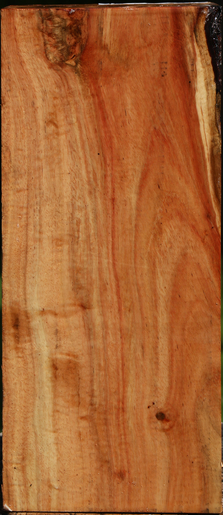 Figured Carob Vessel Blank