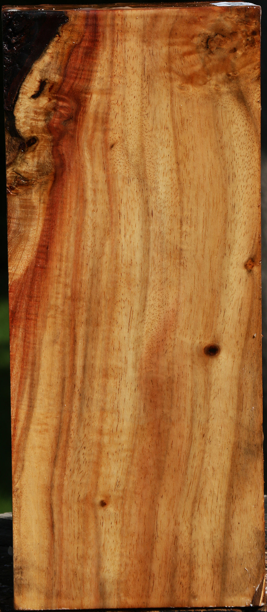 Figured Carob Vessel Blank